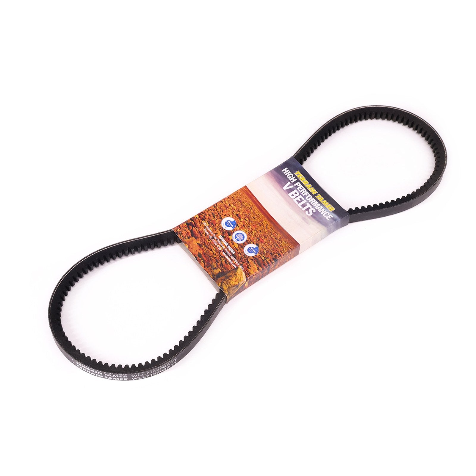 Courroie climatisation Terrain Tamer Ford Ranger