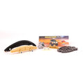 Kit complet courroie a chaine Terrain Tamer Ford Ranger