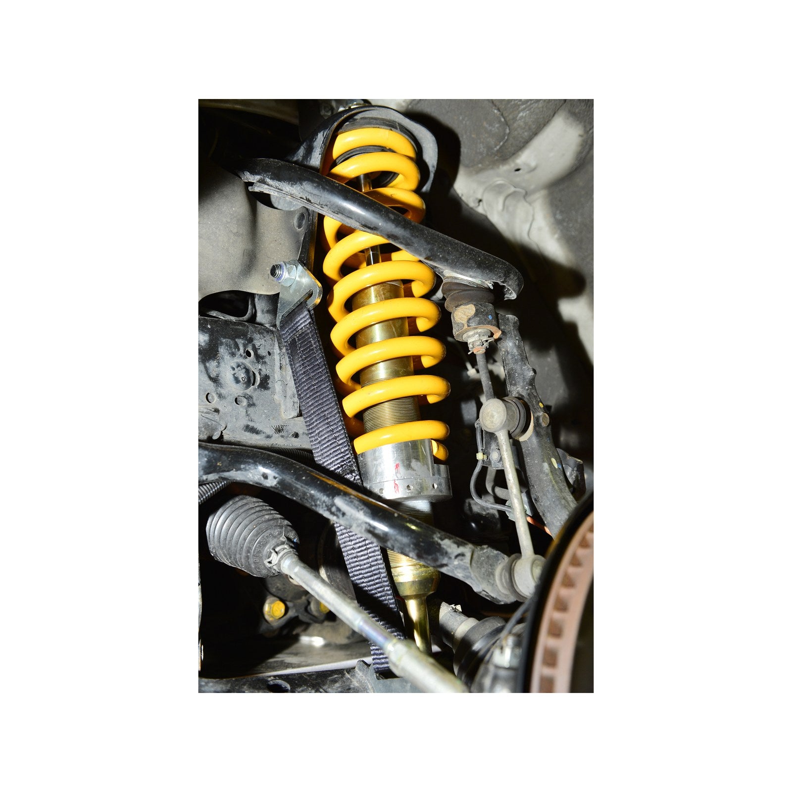 Ressort avant Heavy Duty King Springs (la paire) – Ford Ranger T6 (2012-2016) – vue 2
