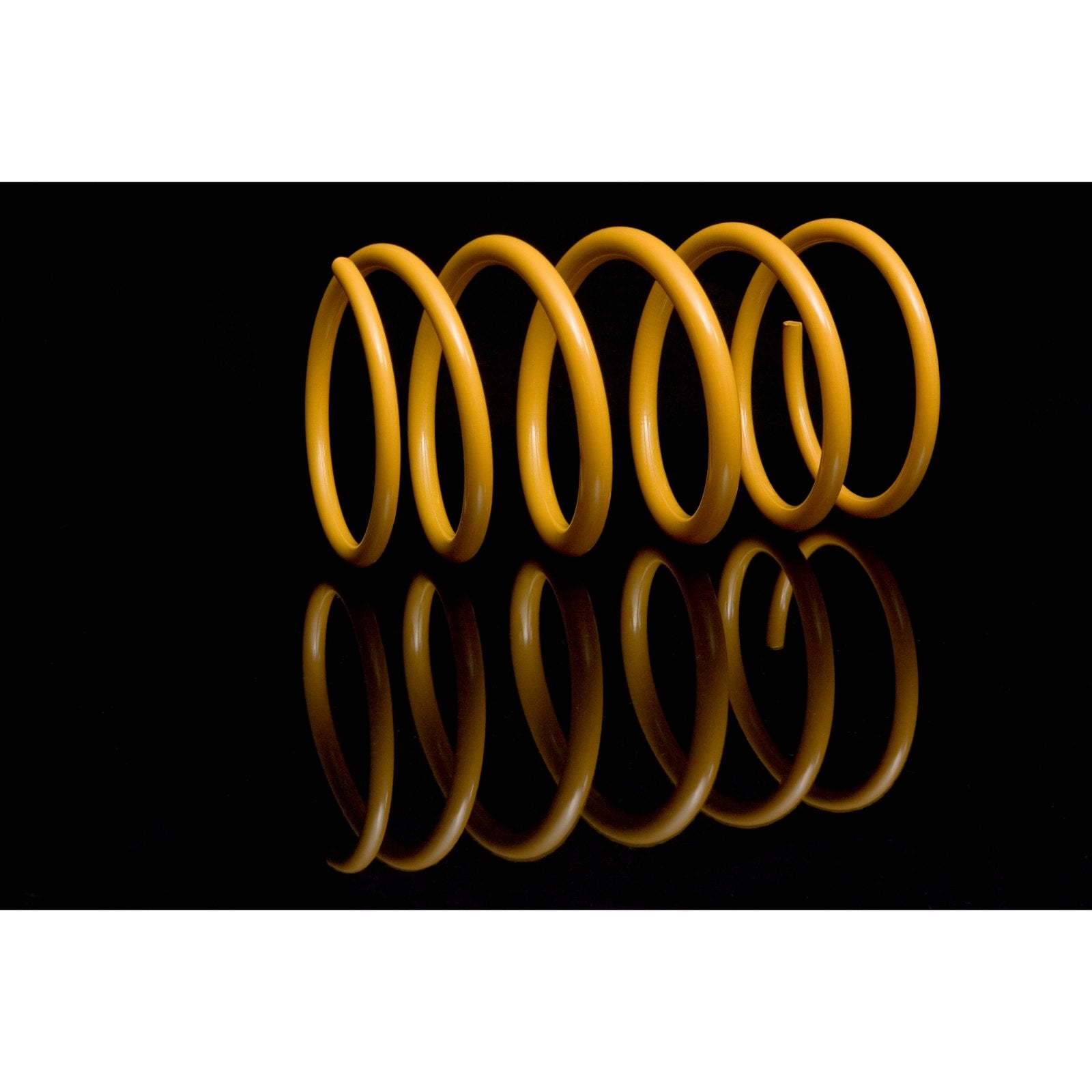 Ressort avant Heavy Duty King Springs (la paire) – Ford Ranger T6 (2012-2016) – vue 3