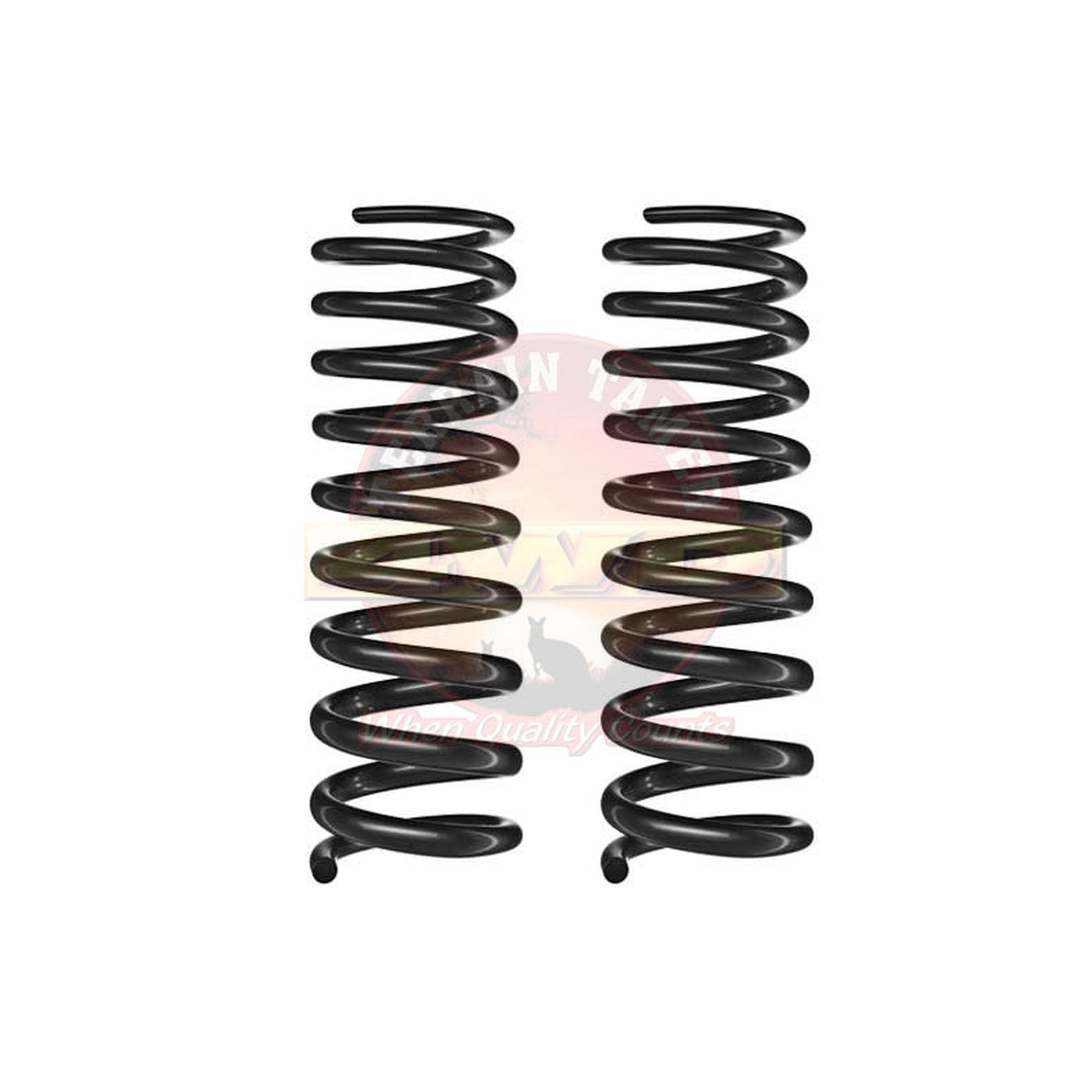 Ressorts smart coil avant réhausse 40mm jusqu'à 100kg Terrain Tamer Ford Ranger