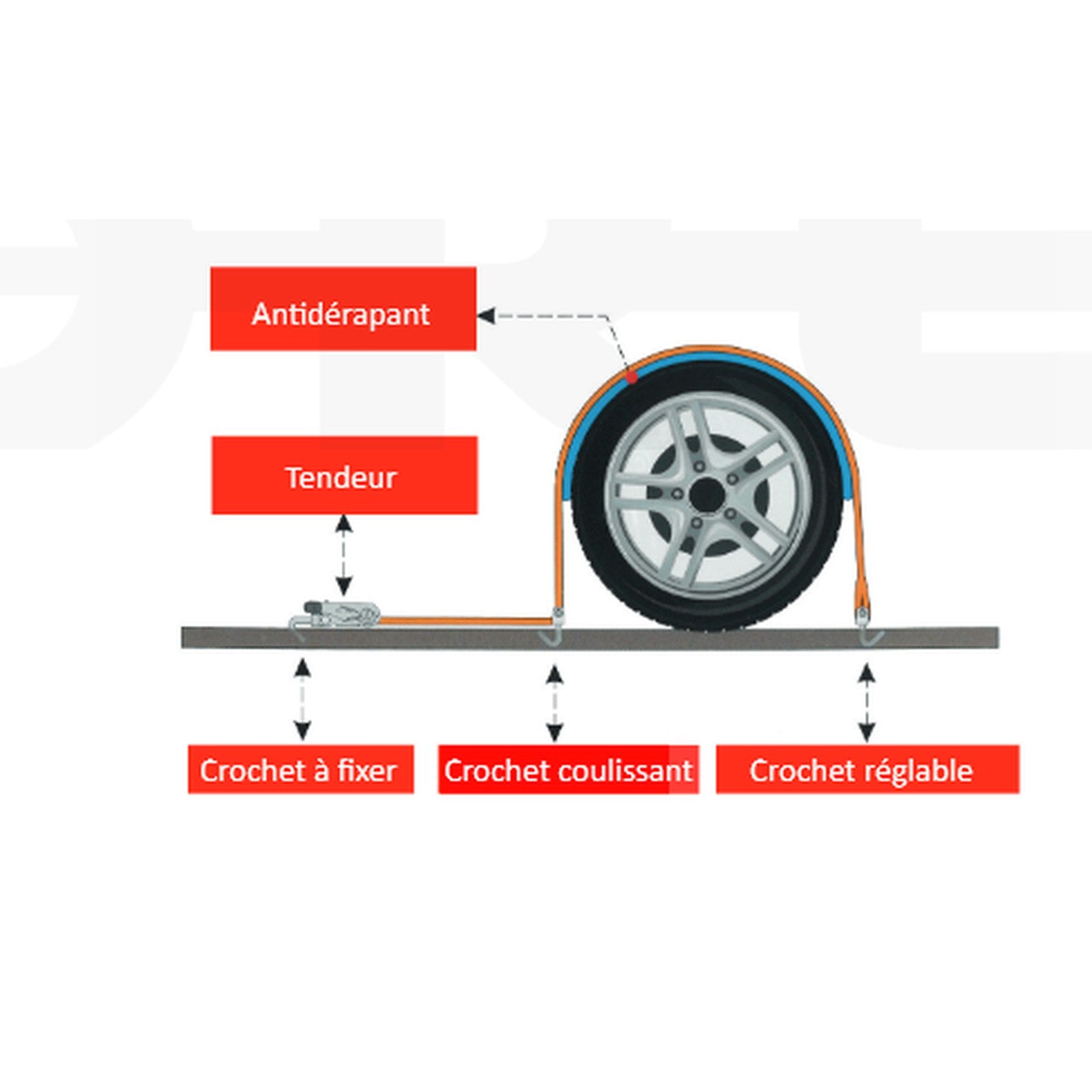 Sangle d'arrimage véhicule sur plateau 50 mm enveloppe roue – Ford Ranger – vue 2