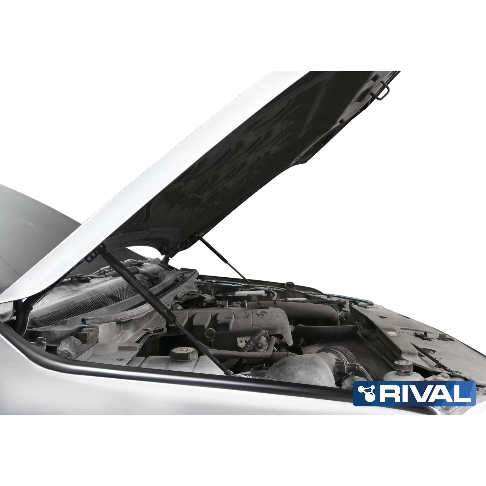 Vérins de capot RIVAL Stabilus – Ford Ranger II à T9 (2006-2023+)