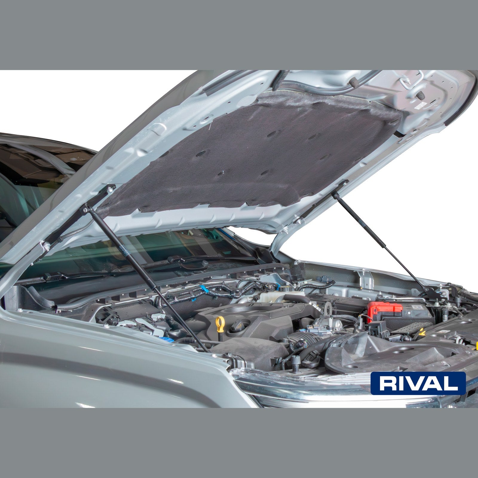 Vérins de capot RIVAL STABILUS – Ford Ranger Raptor (2019-2023+)
